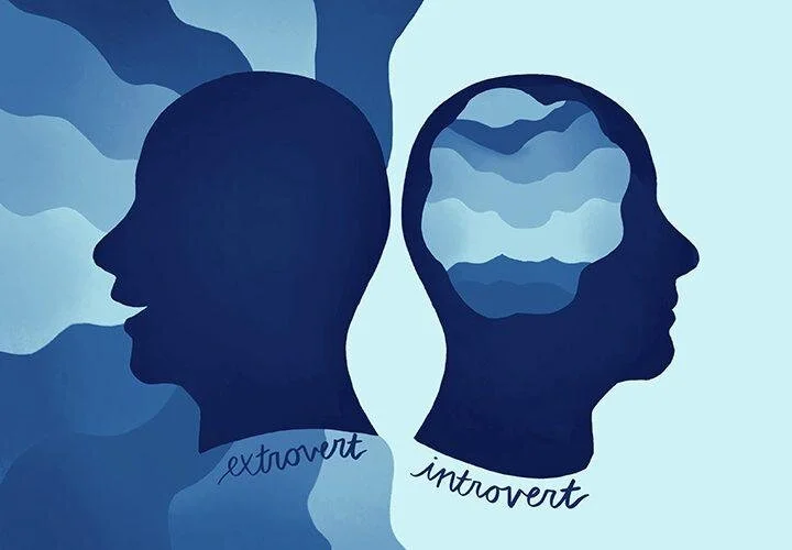 Understanding an Introvert
