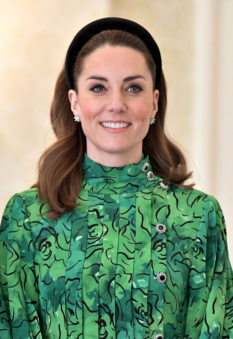 Prince William and Kate Middleton Meet with Irish President - Official ...