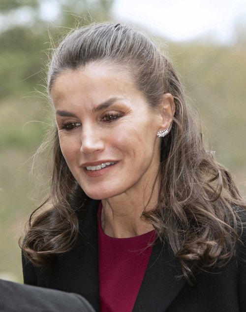Queen Letizia and the Prince of Wales Visit Auckland Castle in Bishop ...
