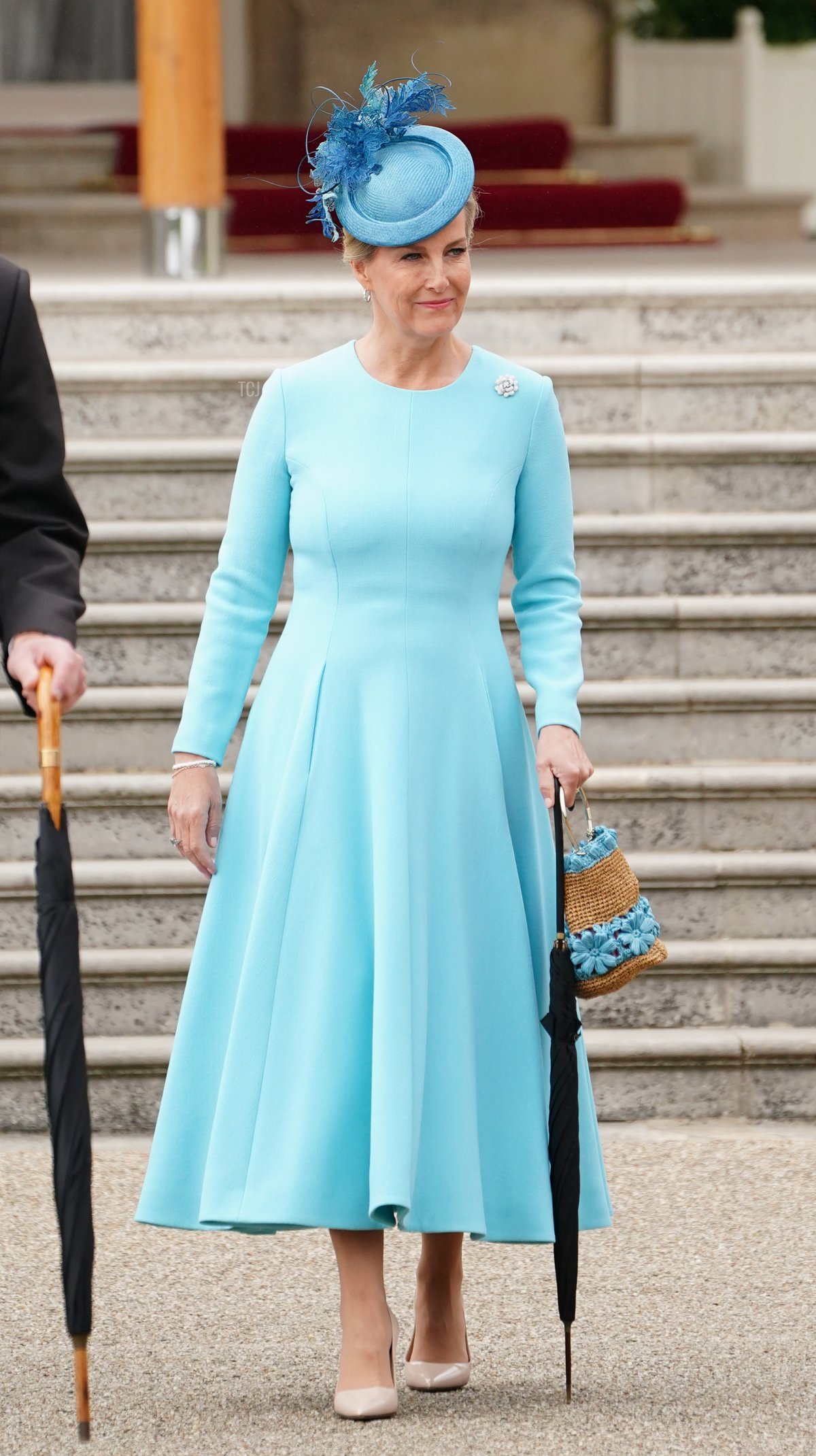 The Earl and Countess of Wessex Attend Royal Garden Party — Royal ...