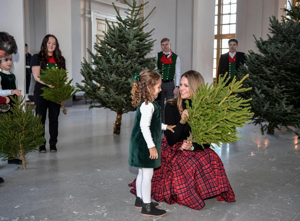 Princess Madeleine Receives Christmas Trees for the Royal Palace
