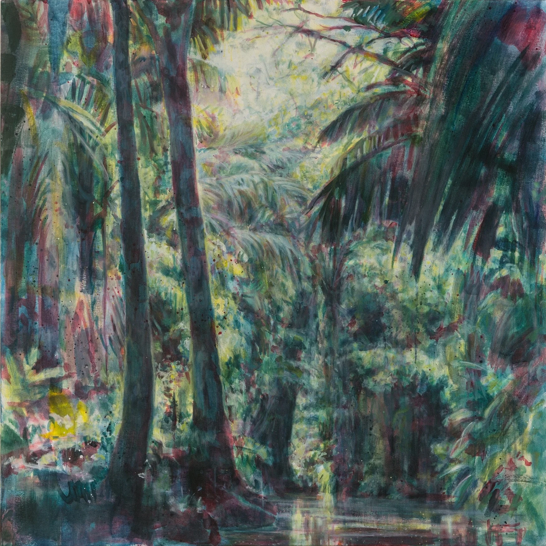 Jungle Stream