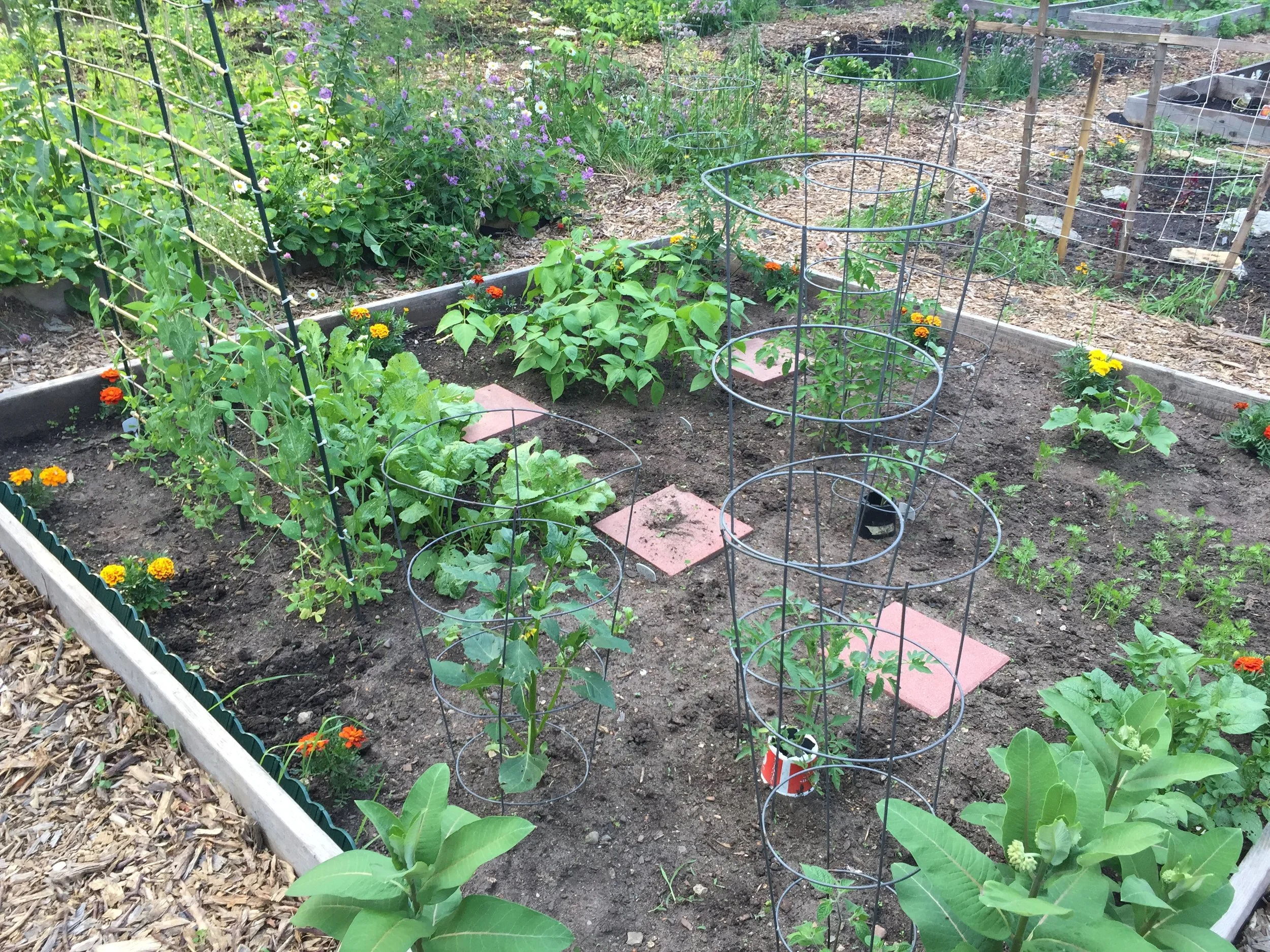 Season 5 Episode 1: Community Forum on Food Access & the Church