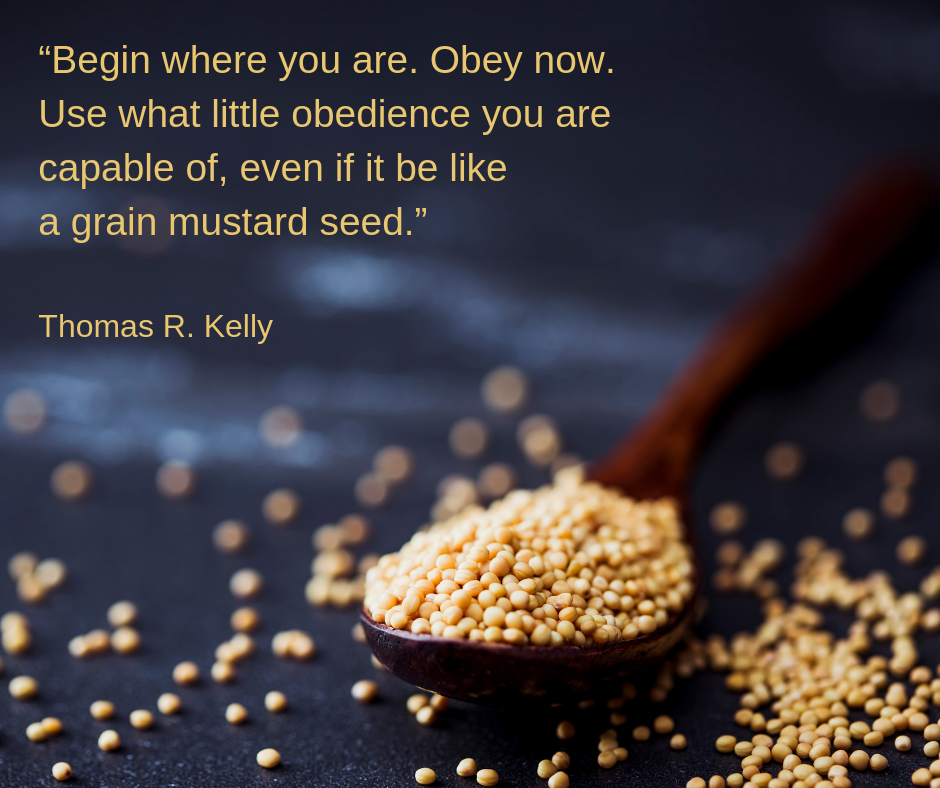 Mustard Seed:Kelly.png