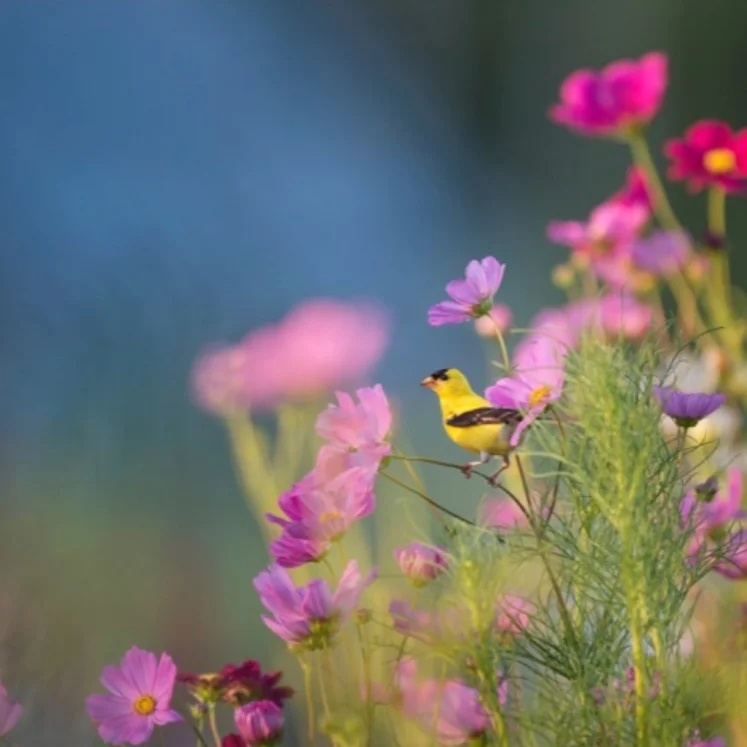 When You Feel Unseen