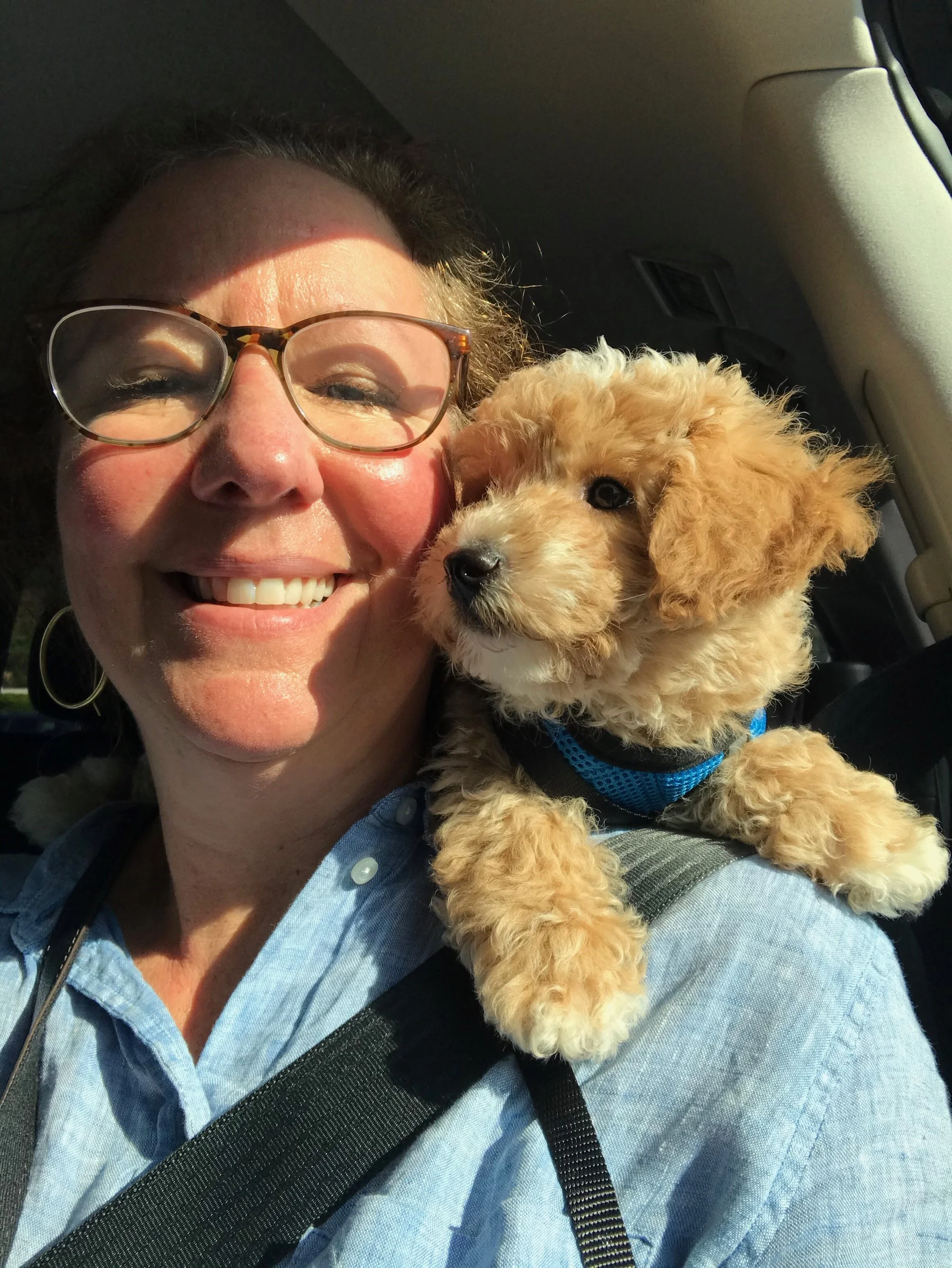 We Got a Puppy!/Attachment