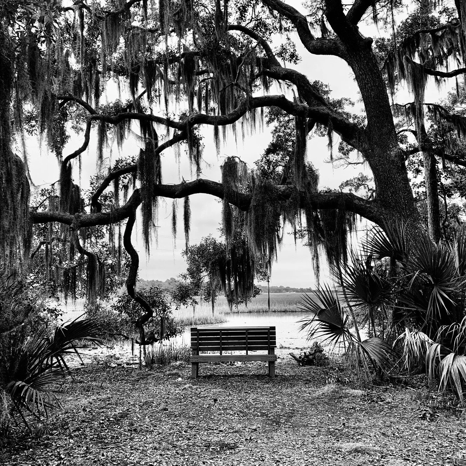 Open Hands or Closed Fists?