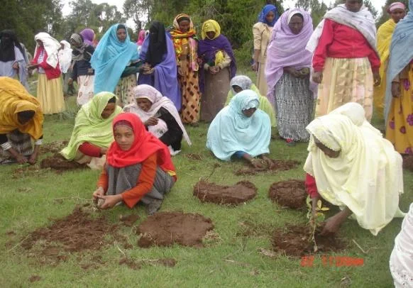 planting1.jpg