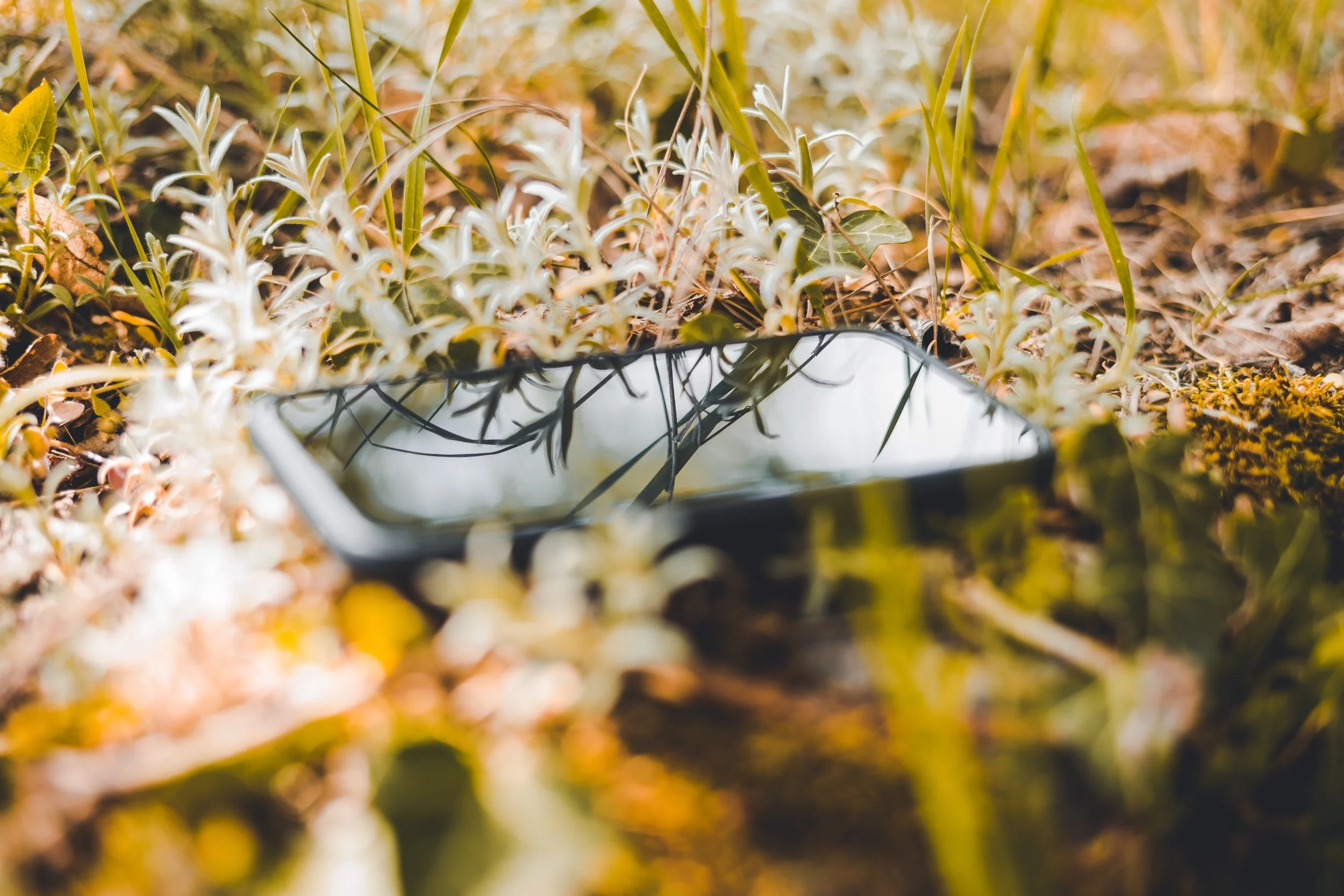 unsplash-image-IZfDL25uSiA.jpg