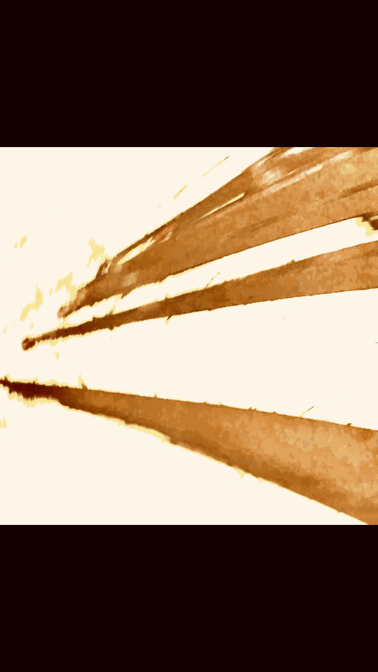 IMG_1194.PNG