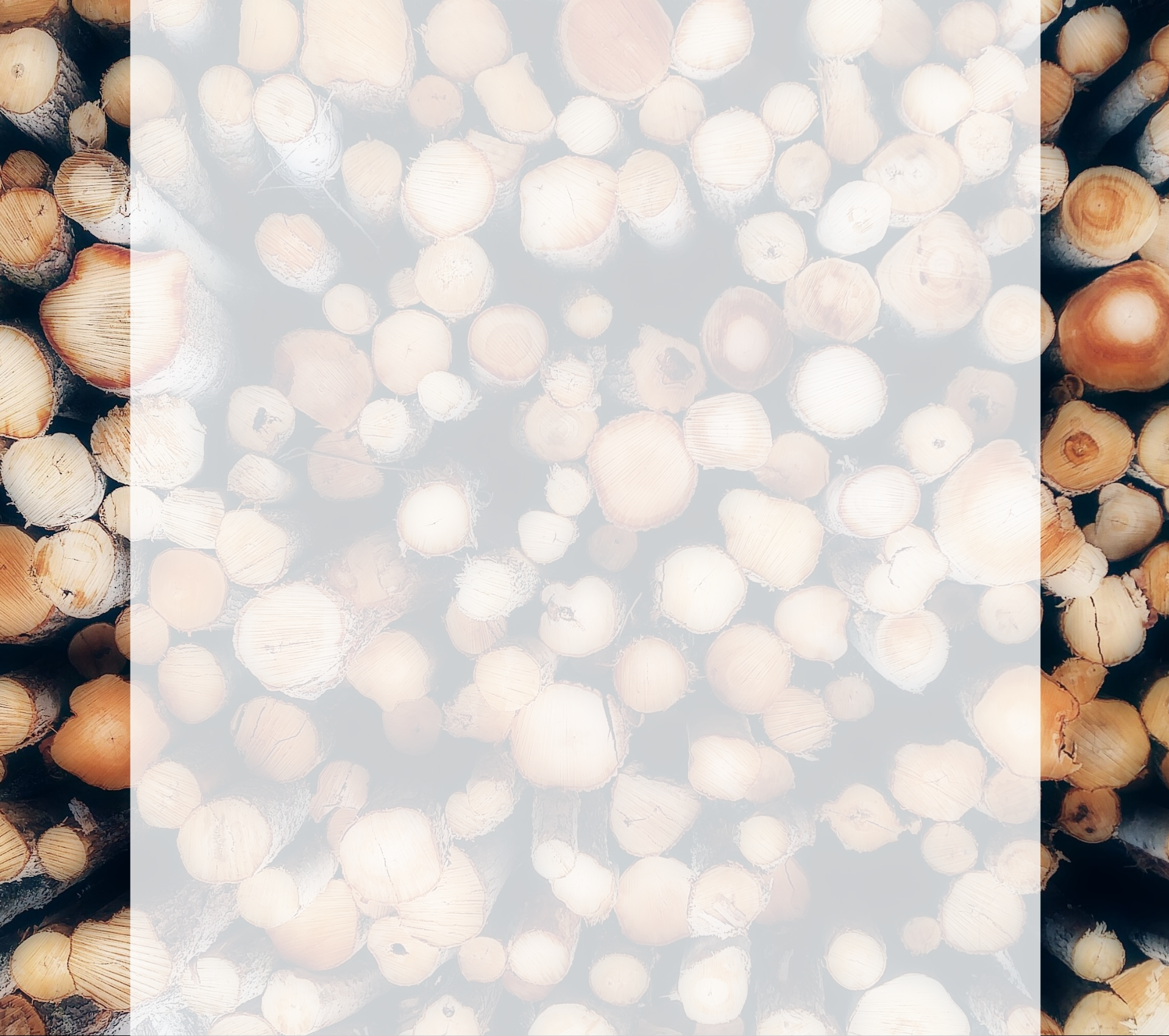Copy of Copy of Copy of Copy of log background (1).png