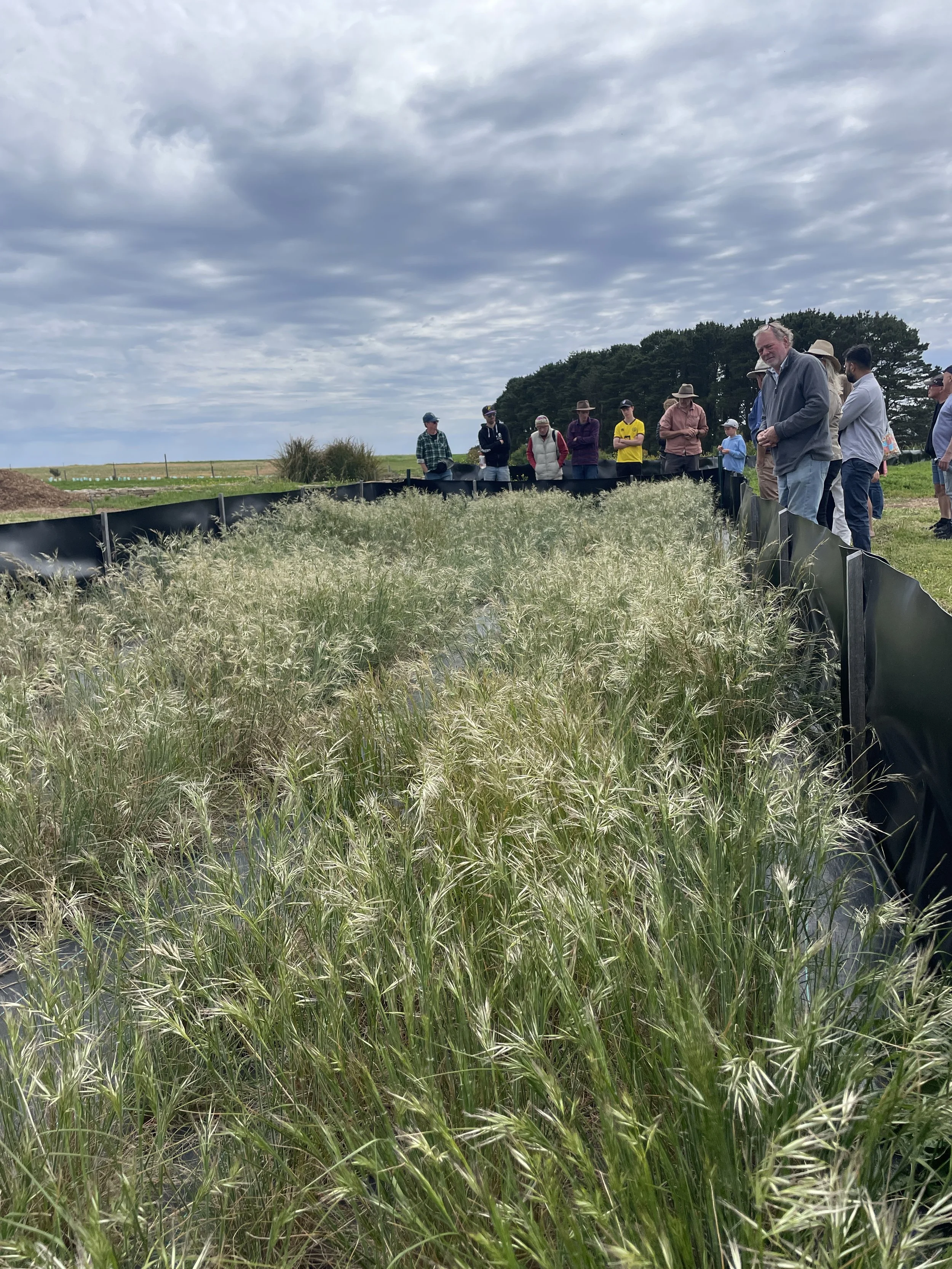 Forktree Project Open Day October 2024