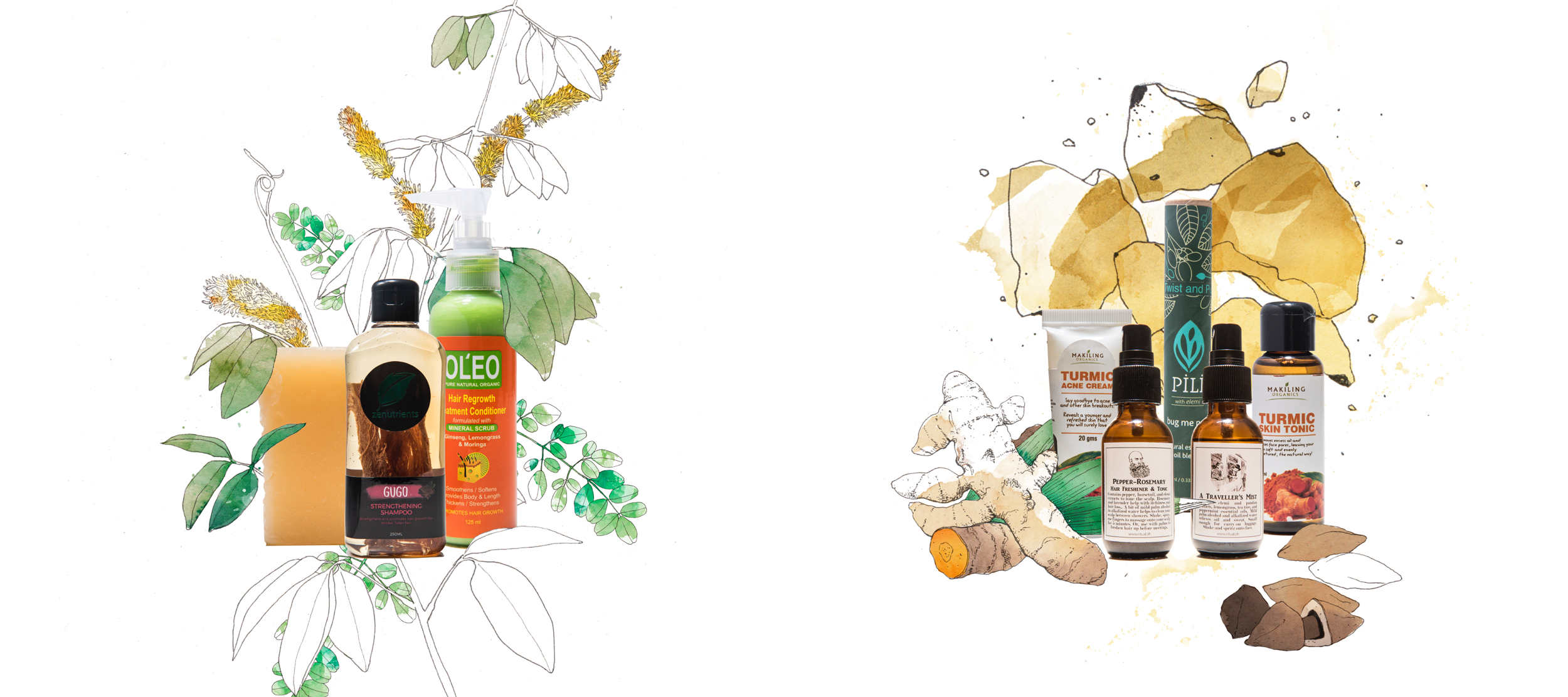 grid-vol2-botanicals-illustration.png