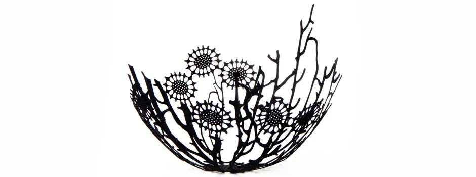 symbiosis bowl.jpg