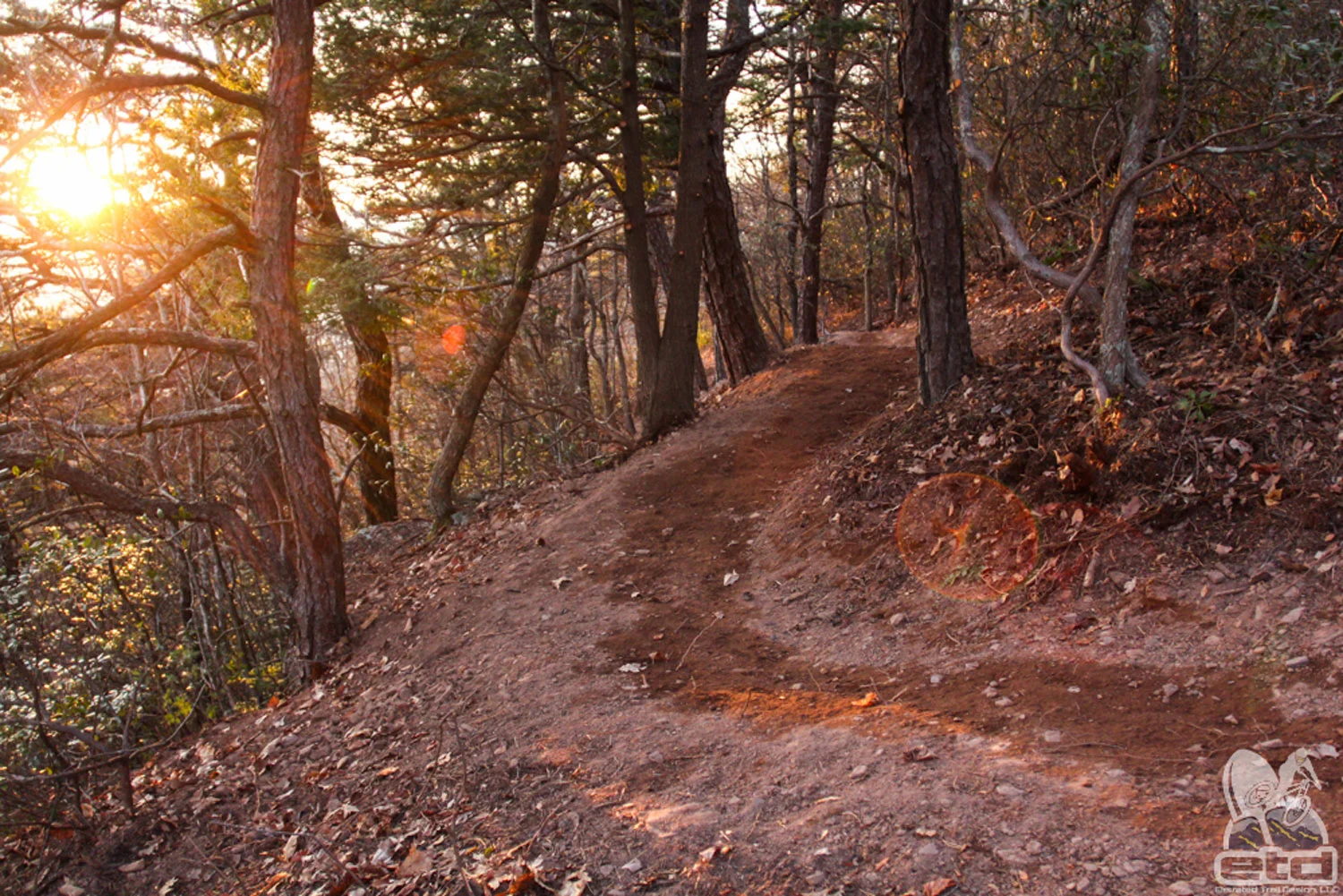 Shenandoah Valley Bicycle Coalition | Elevated Trail Design