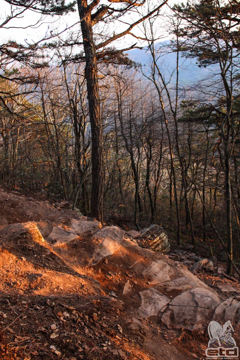Shenandoah Valley Trail | Elevated Trail Design