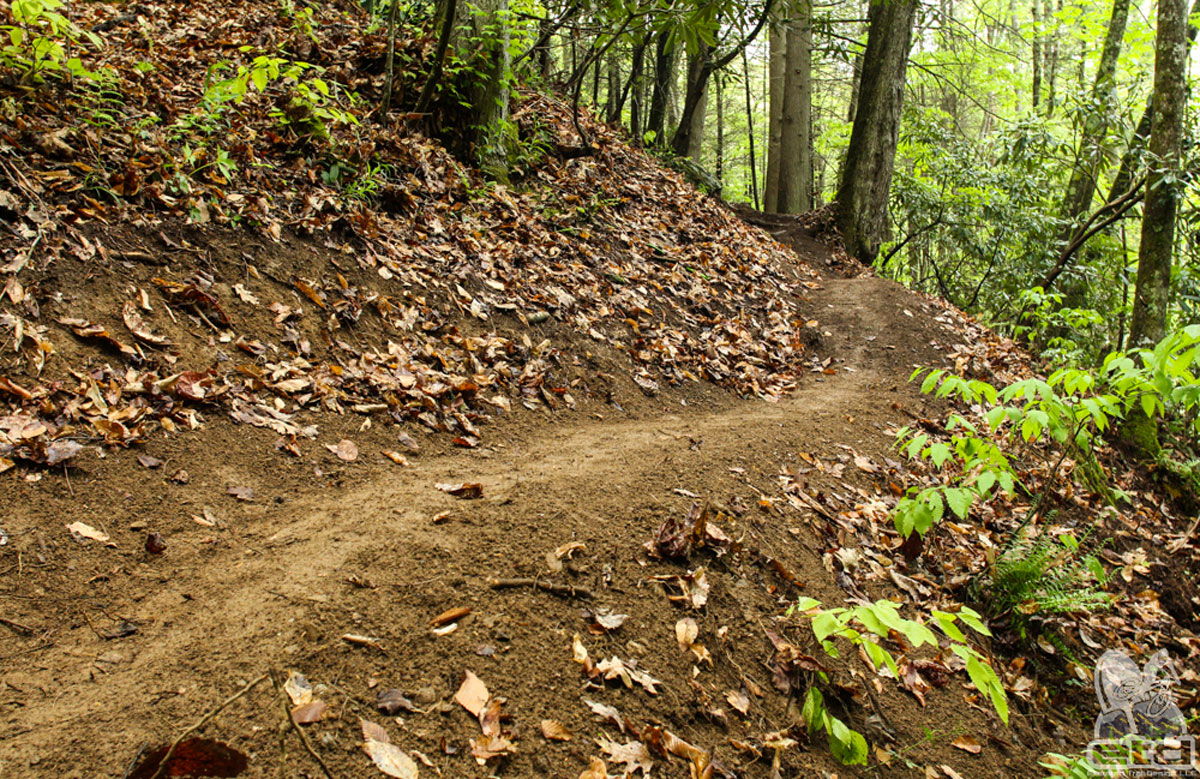 Boone Hiking Trail | Elevated Trail Design