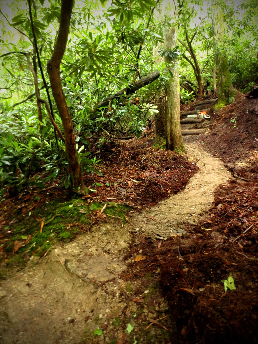 National Park Service Trail Building | Elevated Trail Design