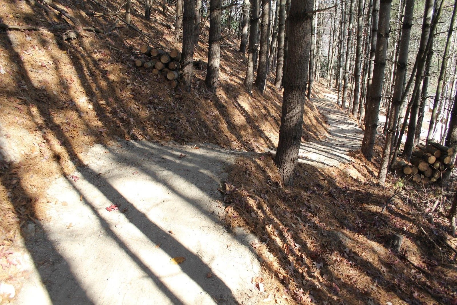 Kid Bike Trail Builders | Elevated Trail Design