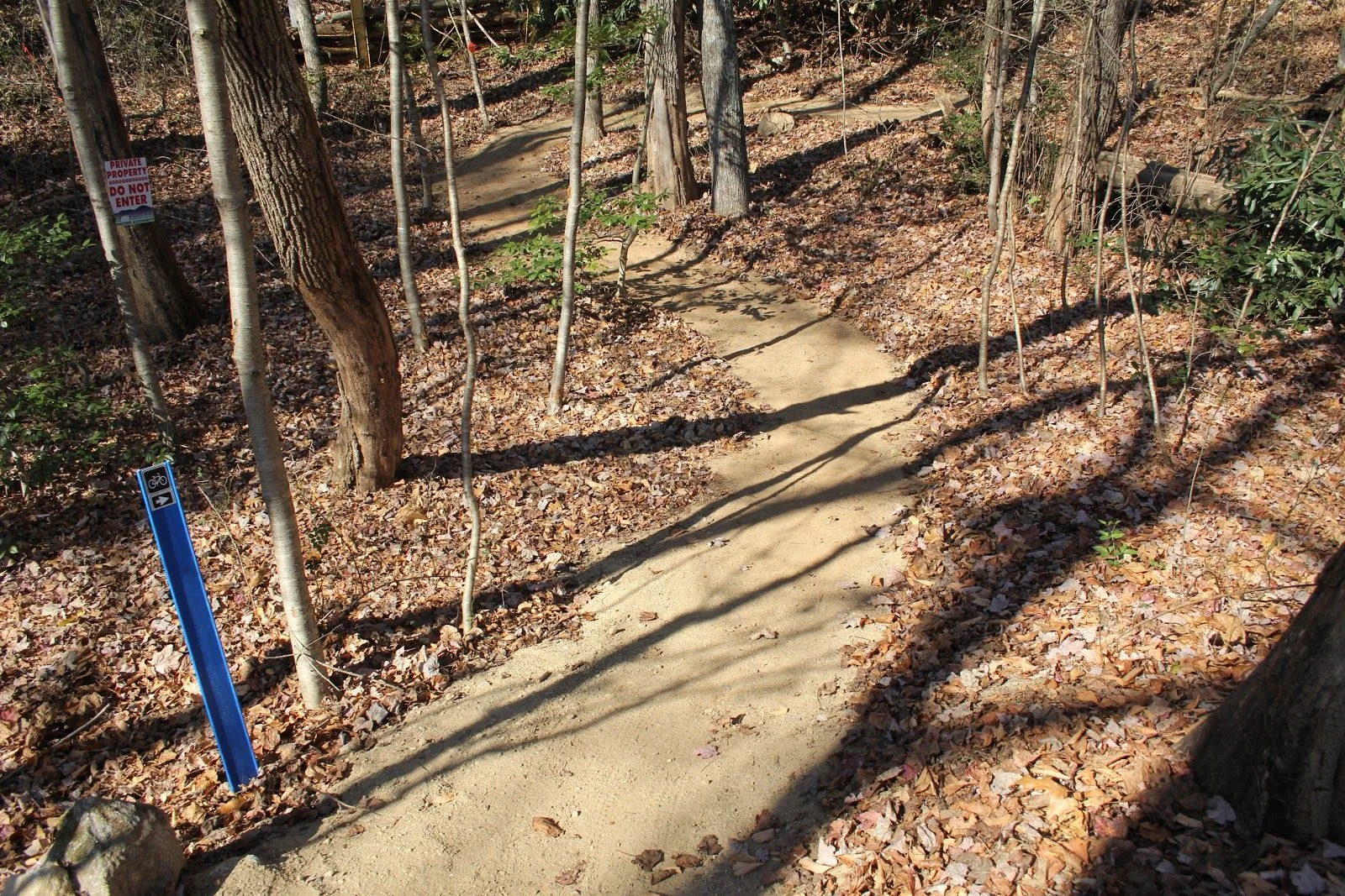 Trail Design | Elevated Trail Design