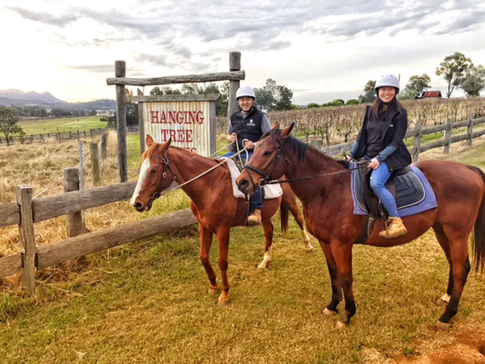 Hunter Valley Wine Tour - Afternoon Trek