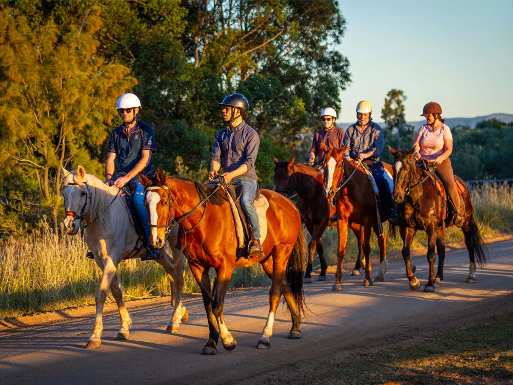Hunter Valley Wine Tour - Equine Wine Dine Tour