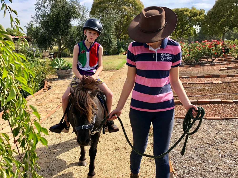 Hunter Valley Tour - Pony Rides