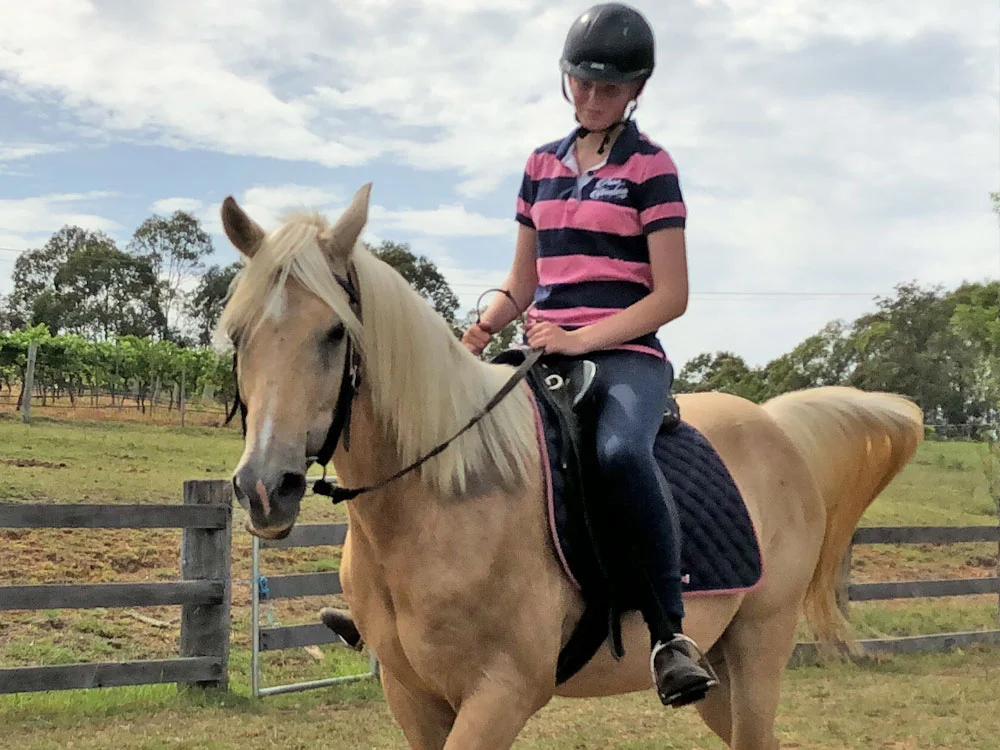 Hunter Valley Tour - Riding Lessons