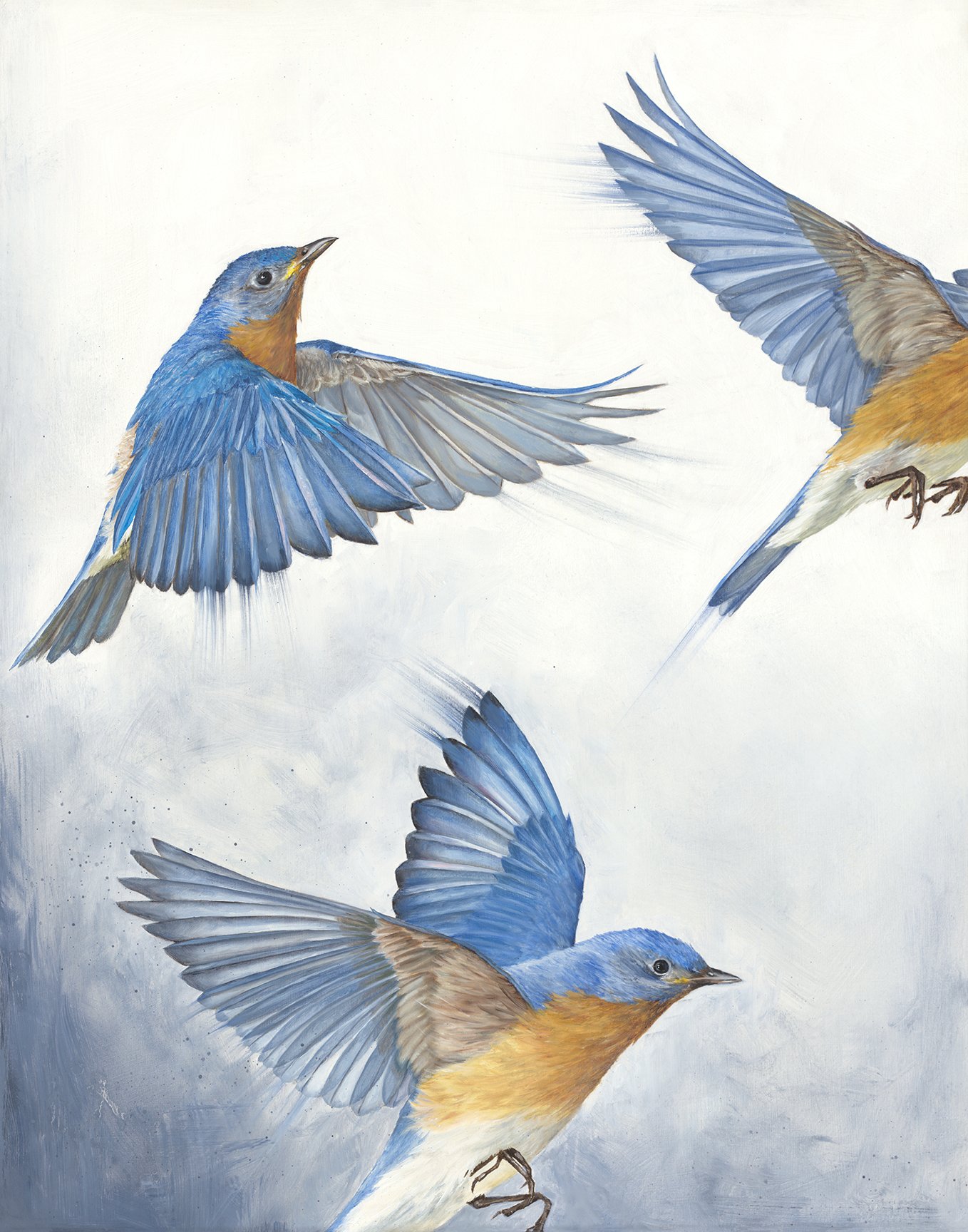  “Fly Free”  11”x14” oil on panel  2025  SOLD 