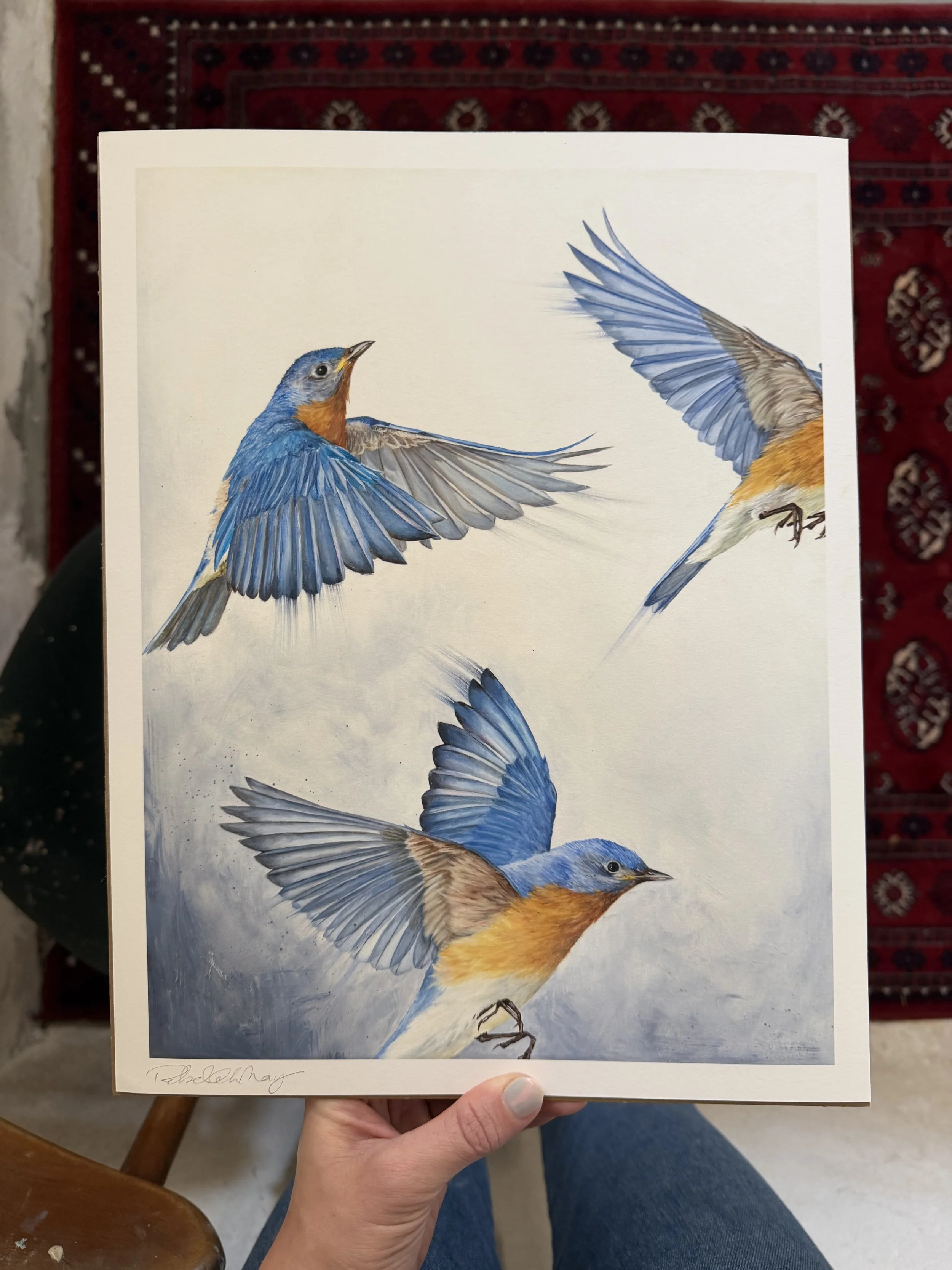 IMG_5378.jpeg (Copy)