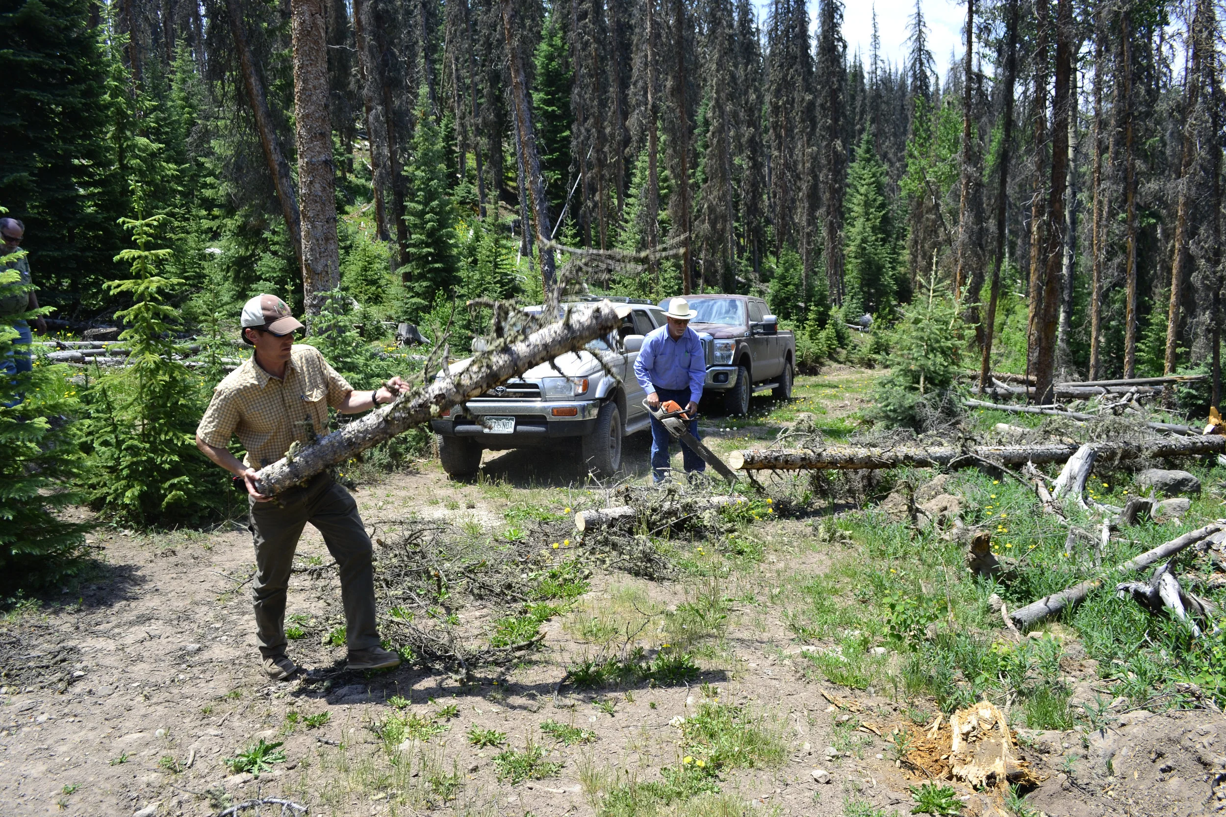 Pigs Eye Permit 1.JPG