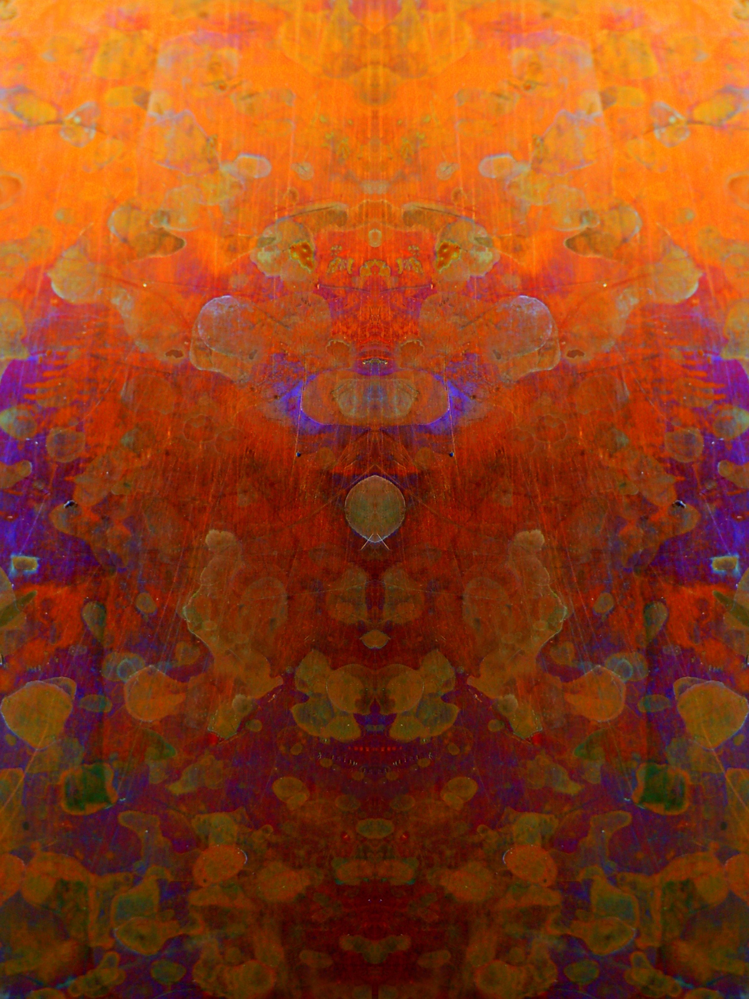 Phoenix Rising 3.jpg