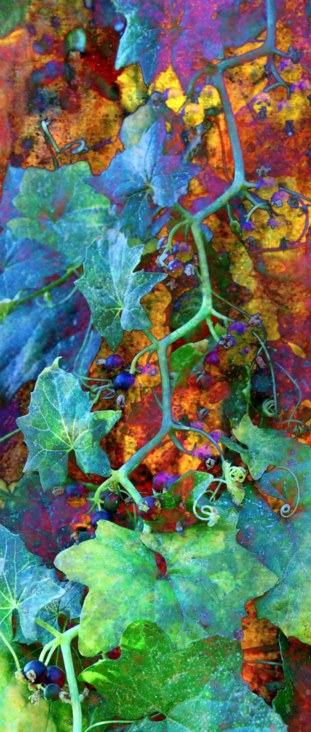 Autumn Tendrils 40x17.jpg