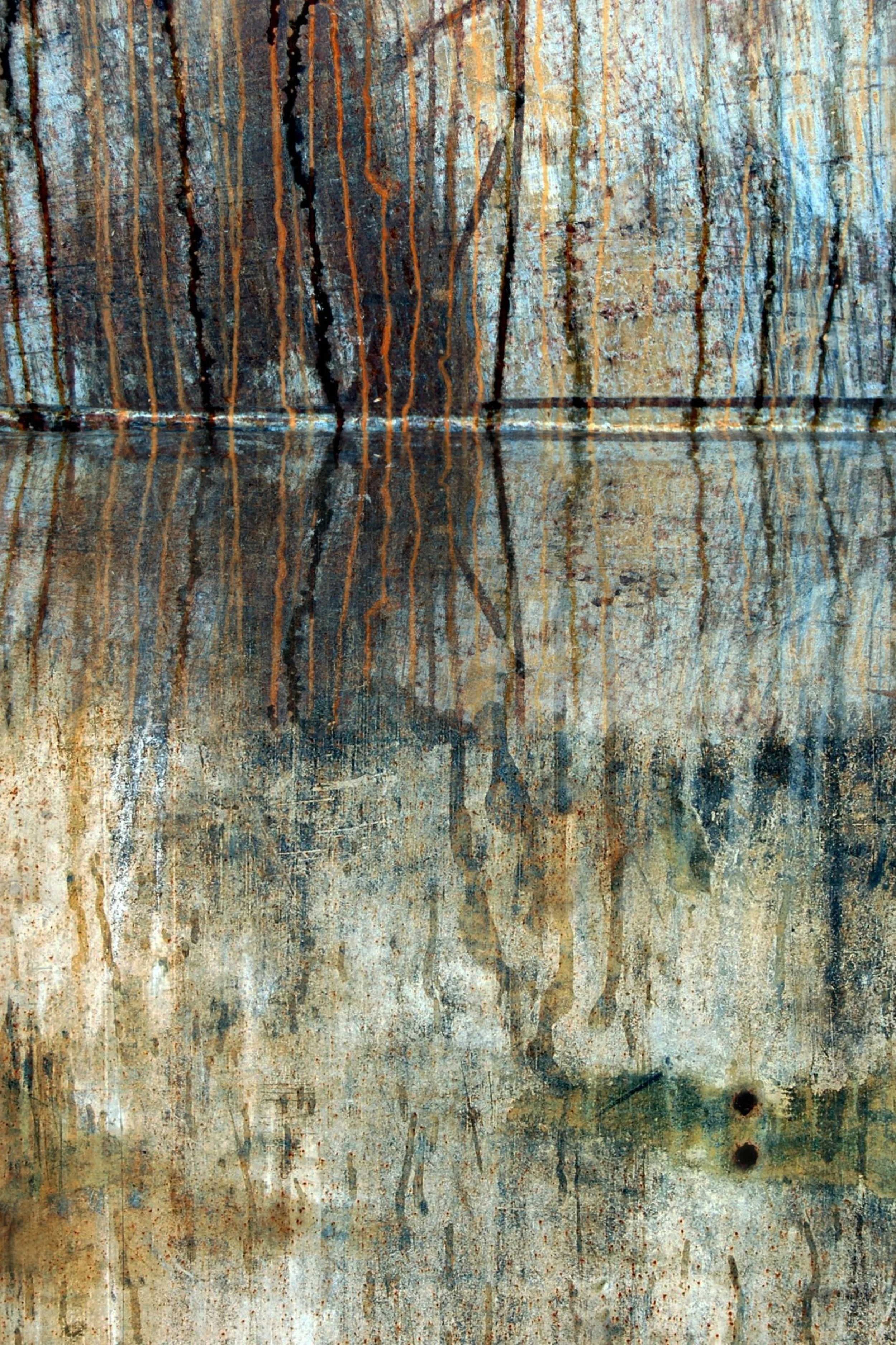 Northern Woods sm.jpg
