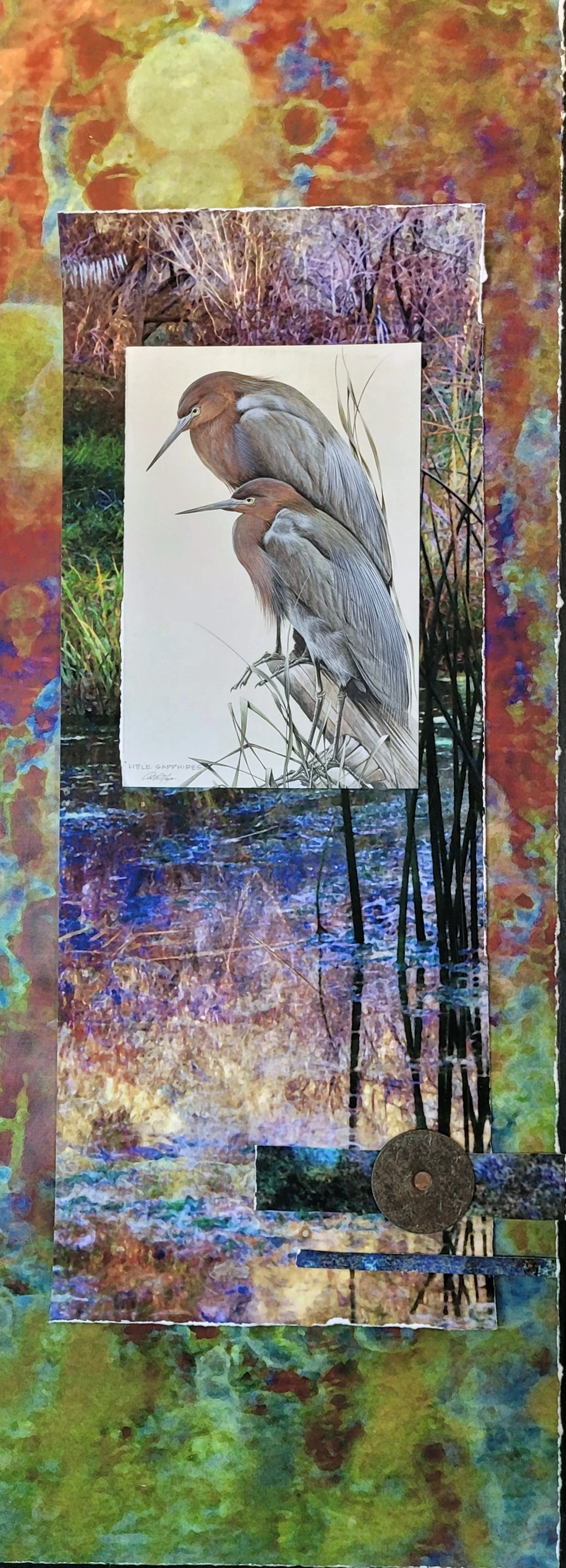 Avians in Repose Collage.jpg
