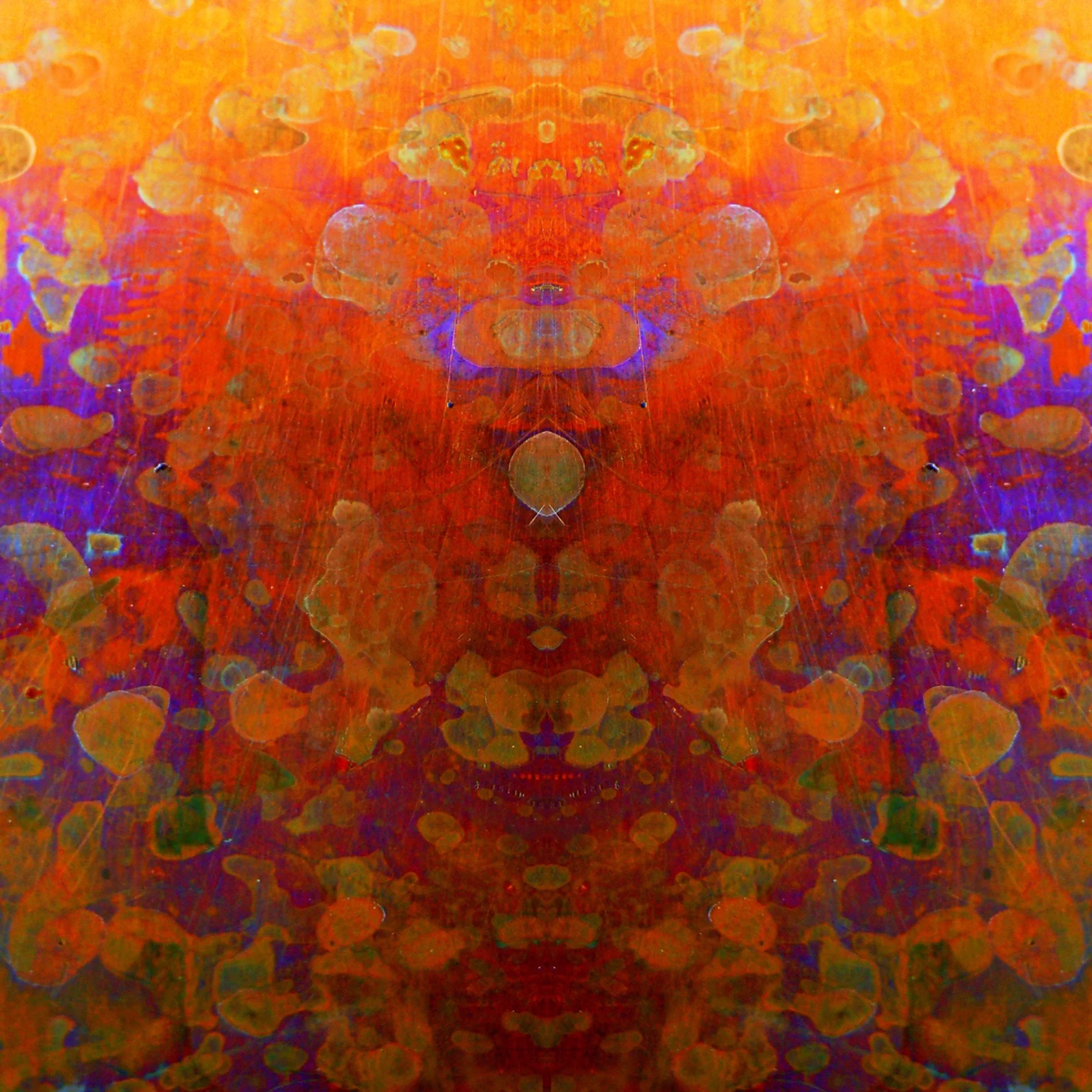phoenix-rising.jpg