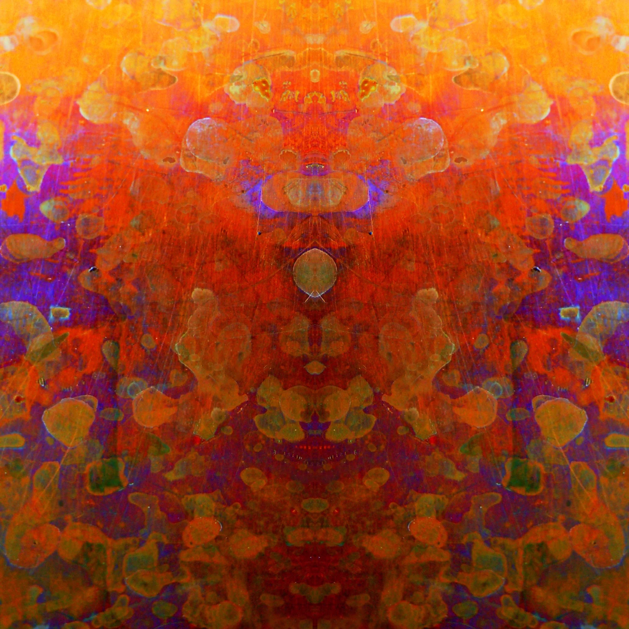 Phoenix Rising 20x20.jpg