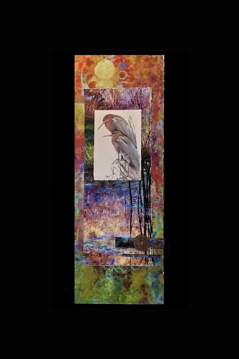 Avians in Repose black.jpg