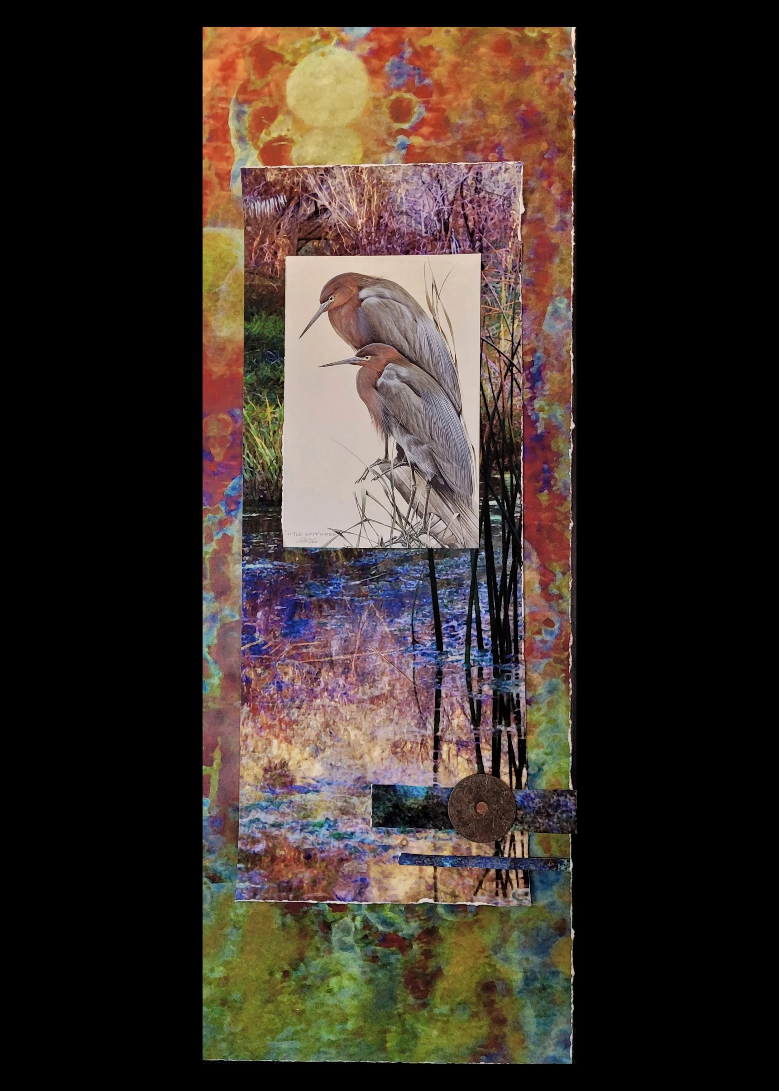 Avians in Repose 2.jpg