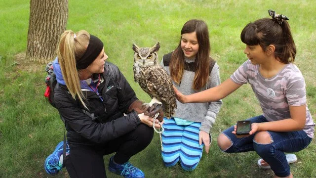 Nature Play Fest