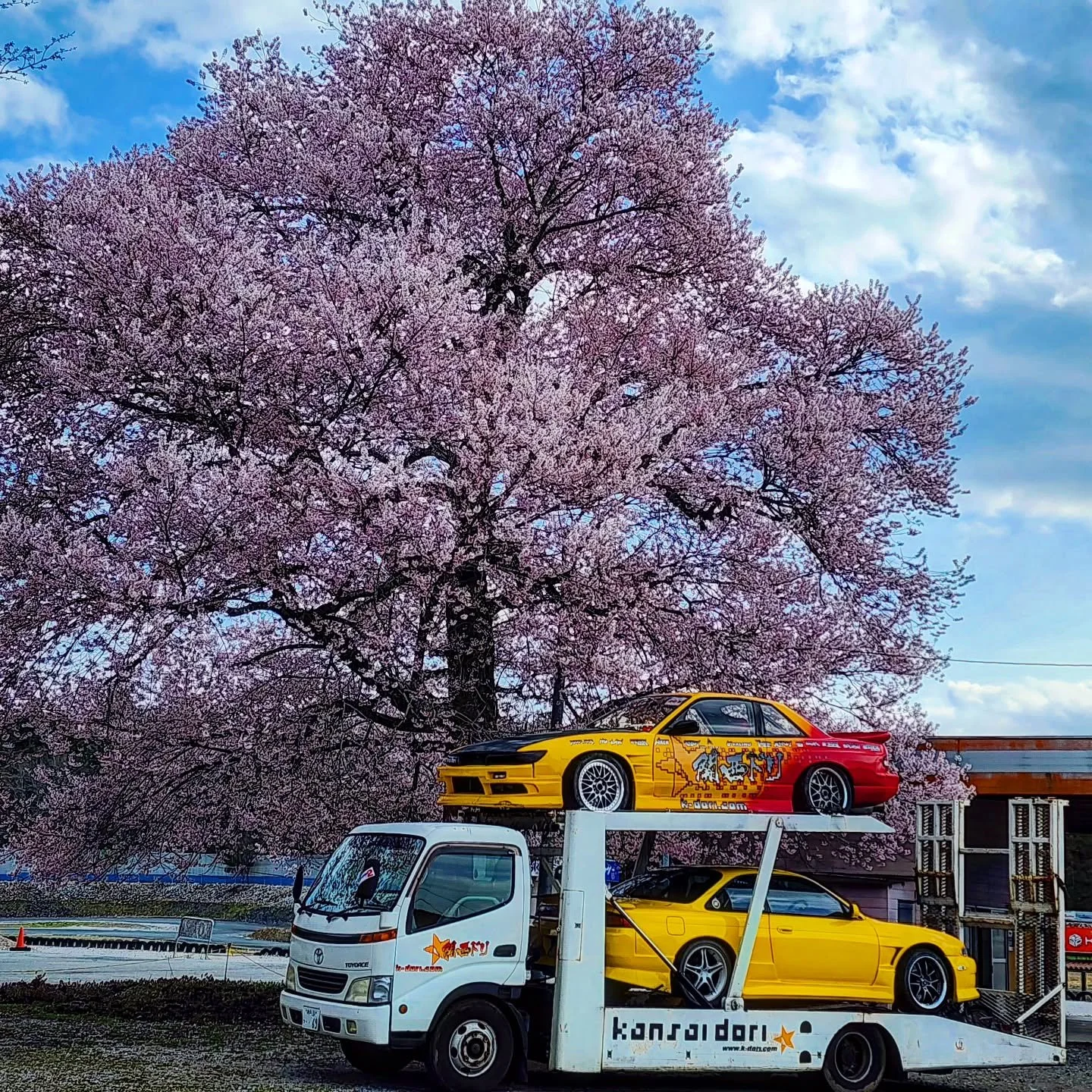 Massive Sakura at bihoku 🌸
I'm told it was planted when bihoku was built
@team_free_spirit