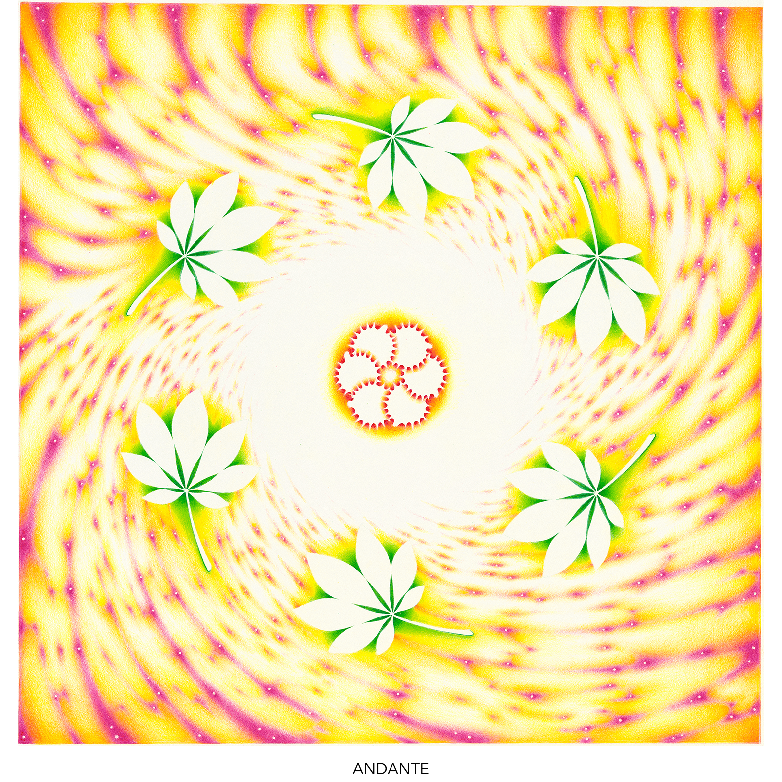 03-andante-titled-1572.png