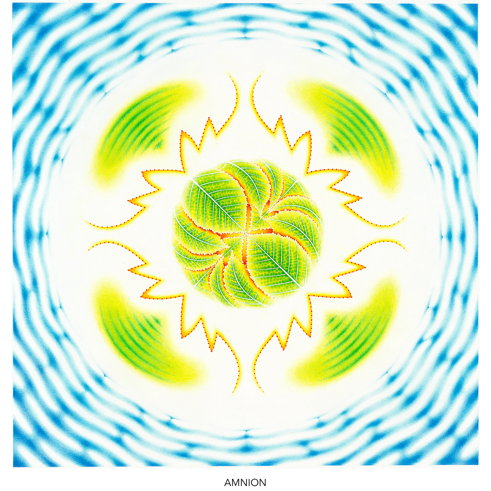 07-amnion-titled-1572.png