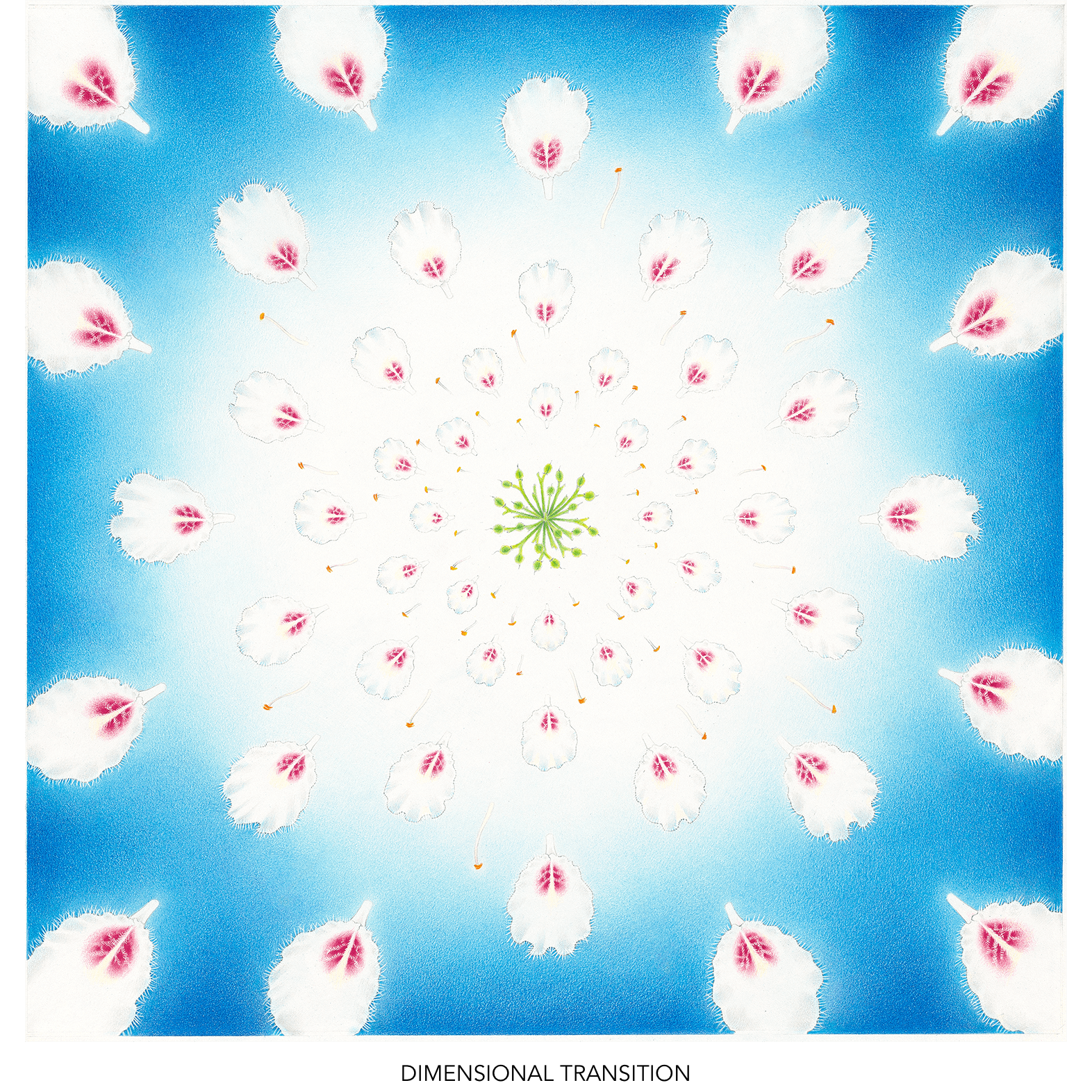 19-dimensional-transition-titled-1572.png