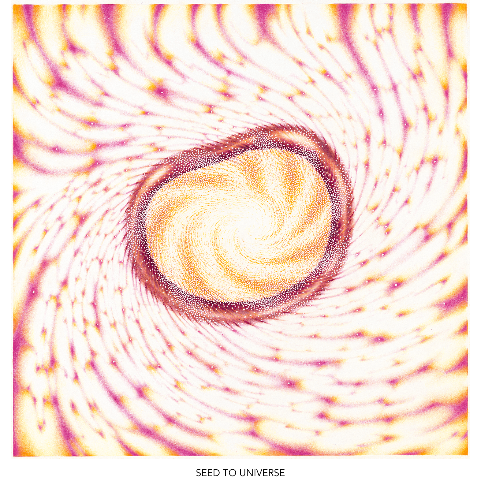 40-seed-to-universe-titled-1572.png