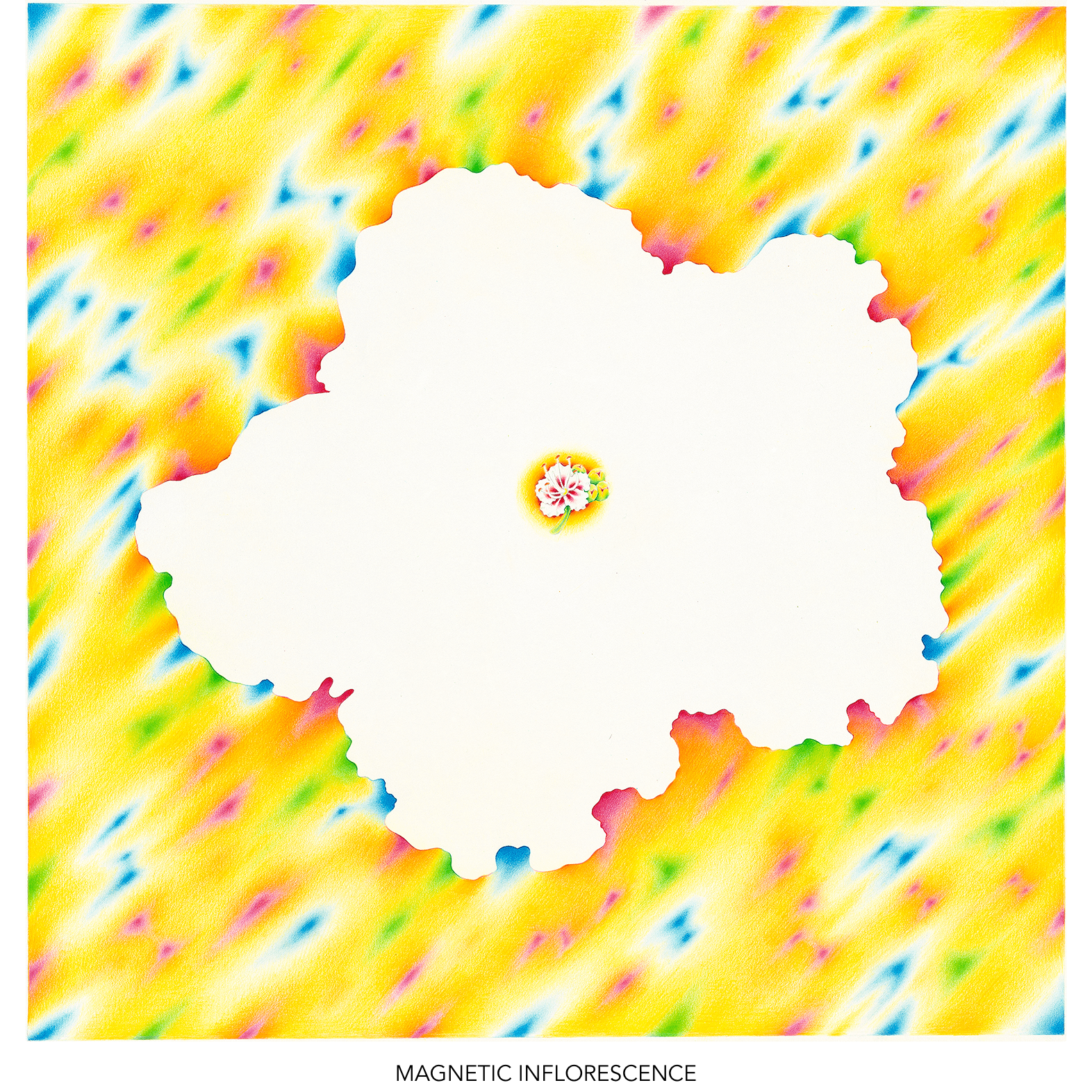 11-magnetic-inflorescence-titled-1572.png