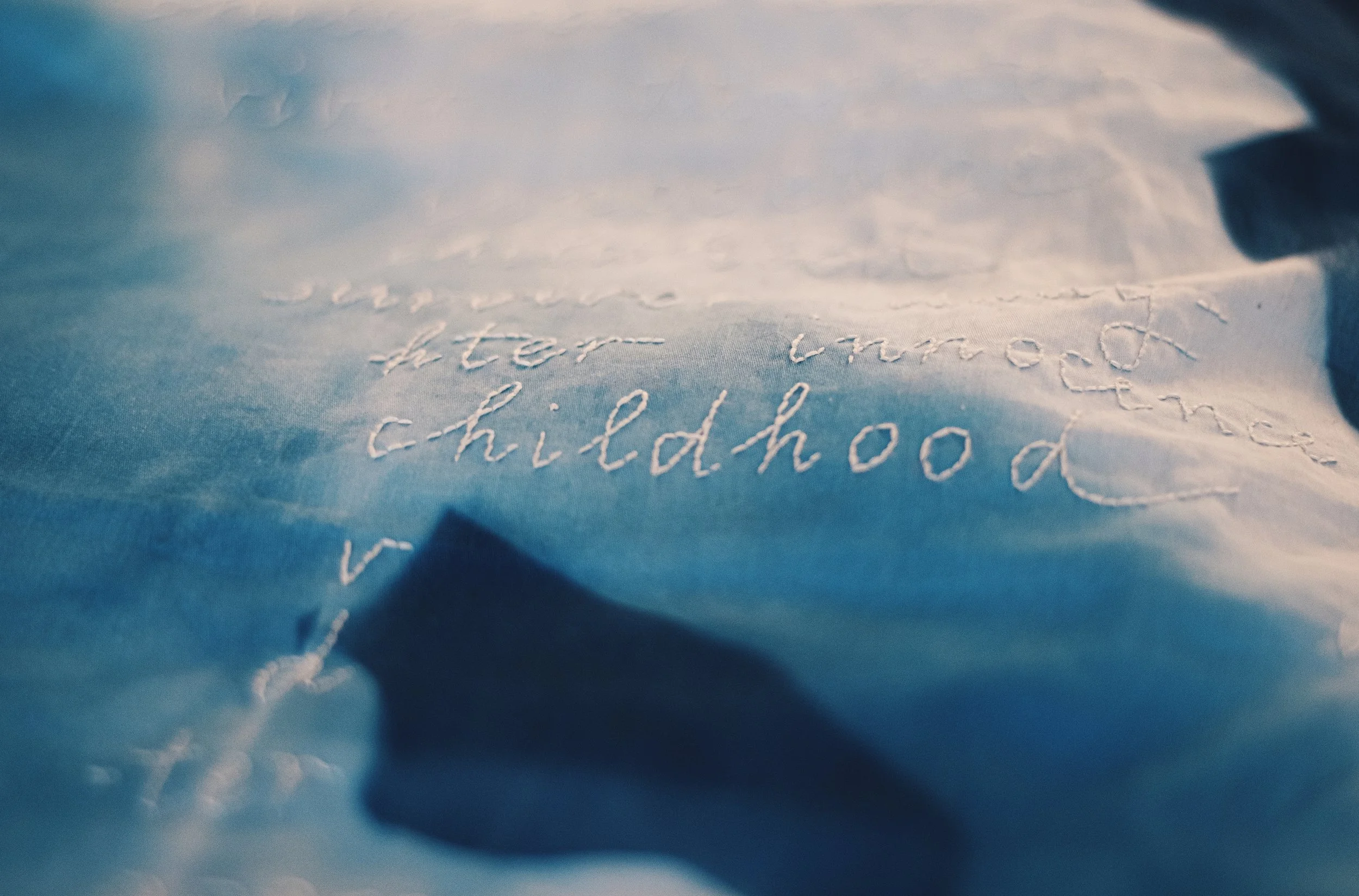 Cropped embroidery.jpeg