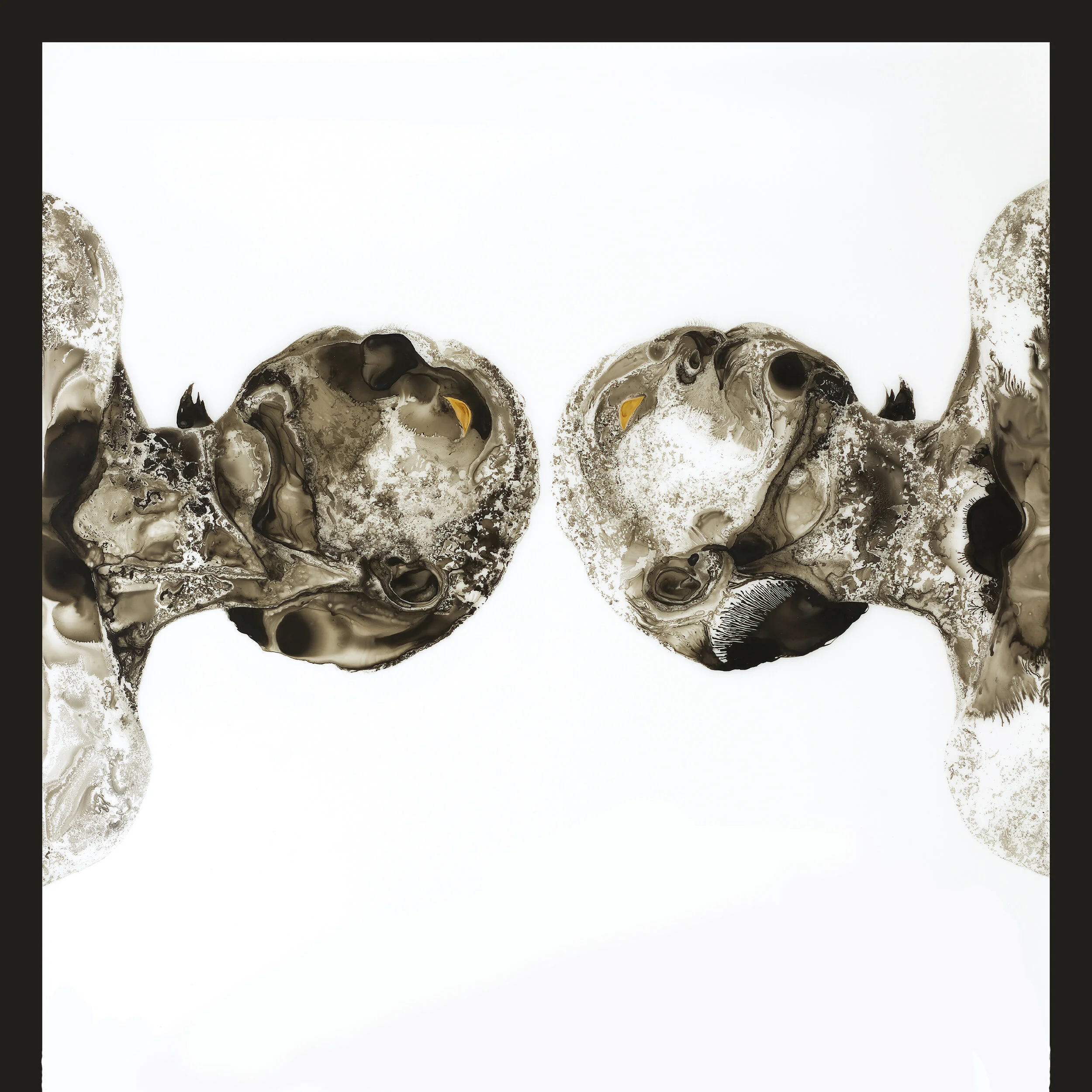 MP535_digital_artwork_final (3).jpg