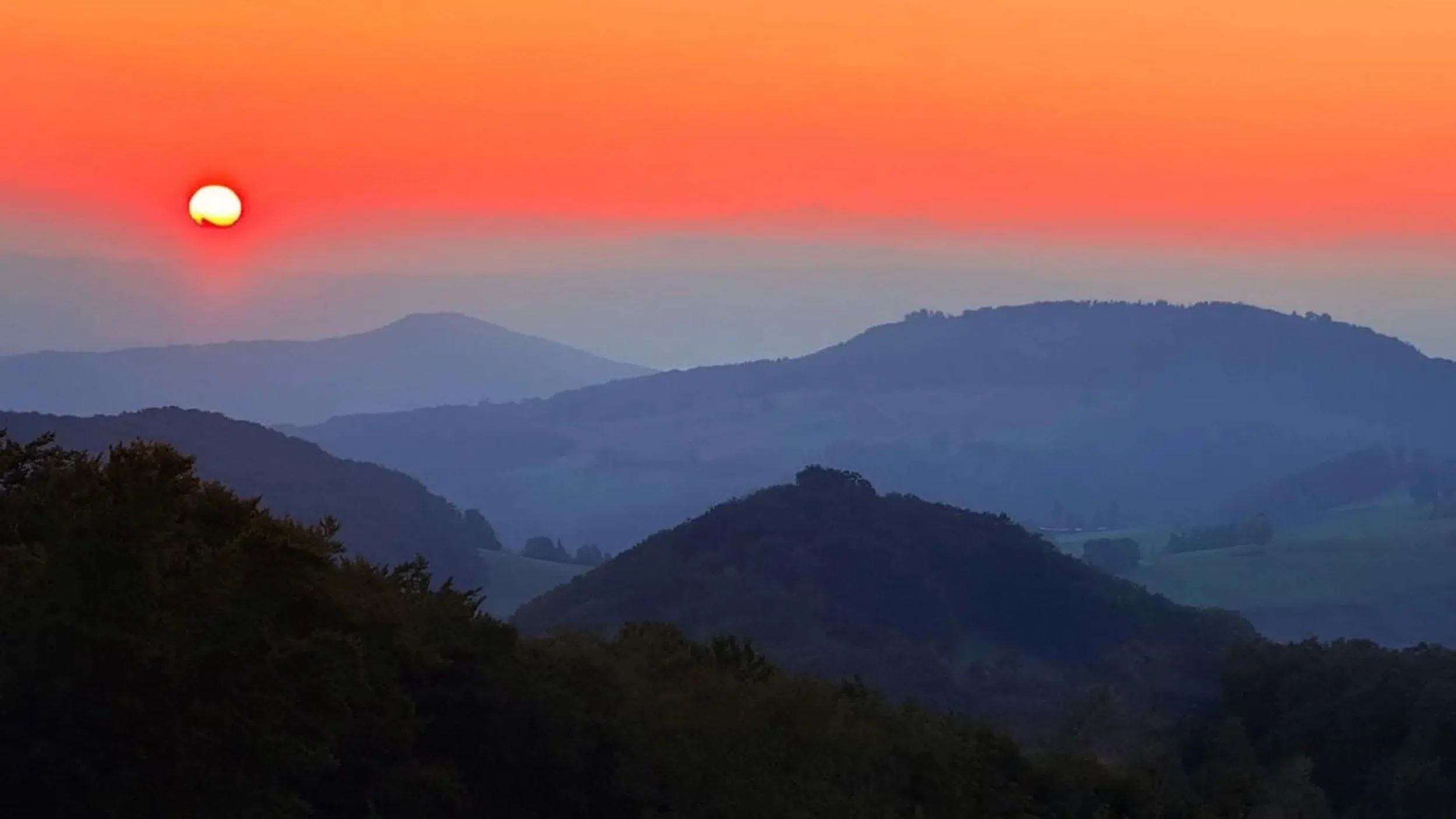 HoloWave «meaning of life»