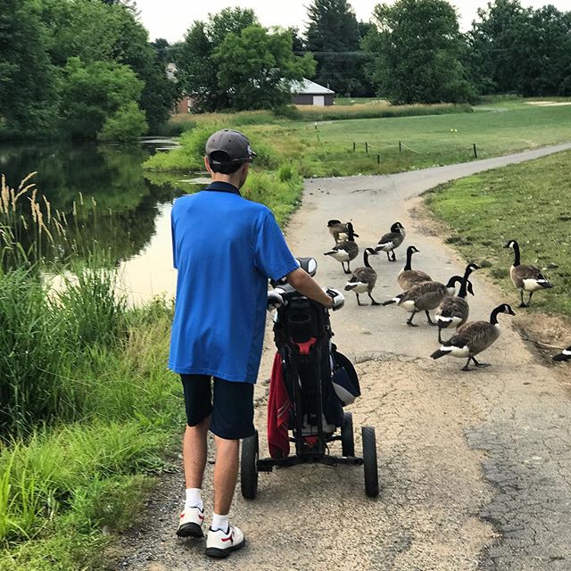 Another day, another traffic jam. #🦆#⛳️#🏌🏼&zwj;♂️
.
.
.
.
. #specialolympics #golf #athlete #golfer #support #training #specialolympicstraining